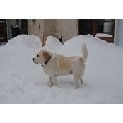 June Woodrow's photo