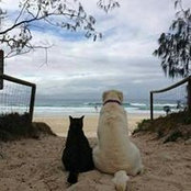 Foto von Gail Harrah