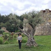 Foto de Connie Arango
