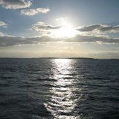 Mollie Jackson's photo