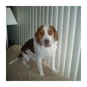 Timothy Slama's photo
