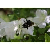 Aimee Morse's photo