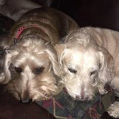 Kathy Shada's photo