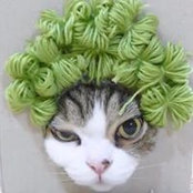 Sharon Carruth Filmer's photo