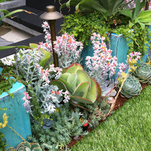 Landscape Ideas