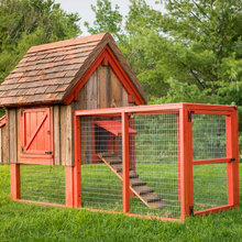 Praying Springs Chicken Coop
