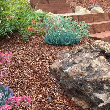 May Front Yard