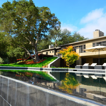 Los Altos Hills Contemporary Landscape