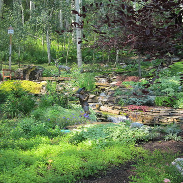 Forest Garden