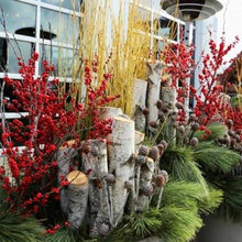 Window Boxes