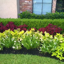 Landscape Ideas