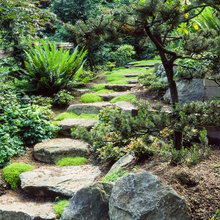 paths