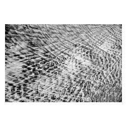 Douglas Page Photographic Arts - Sandprints Designer Series No.28, 12"x8" - Photographs