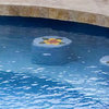 Single Hibiscus Ceramic Swimming Pool Mosaic 10"x7", Red