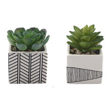 Accents & Plants for Living Room 2020