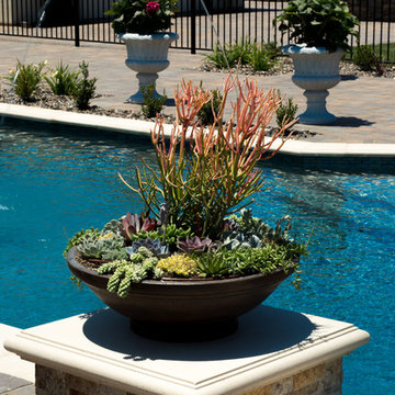 Accent Bowls