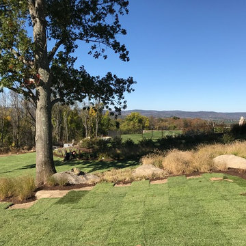 Sod and Garden Bed Installation