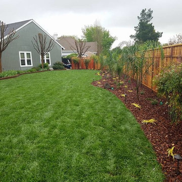 Backyard Landscape Renovation