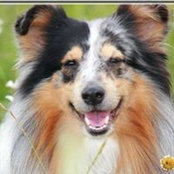 Olga Alekseeva's photo