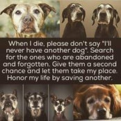 Kim Bruno's photo
