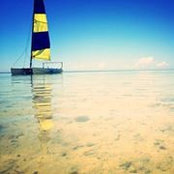 Melissa Pizzi's photo