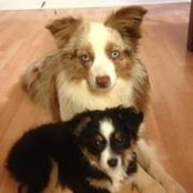 Regena Dawson's photo