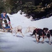 Foto di Dawn Rufner