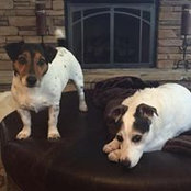 Valerie Bridges's photo
