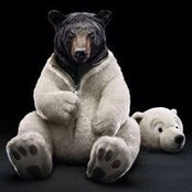 Teddy Partridge's photo