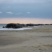 Barbara Baltzell's photo