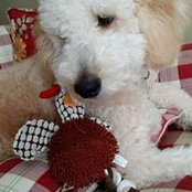 Denise Stephens's photo