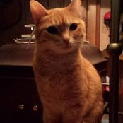 Cat Glass's photo