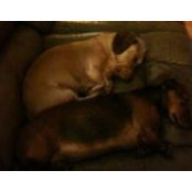 Marla Elder's photo