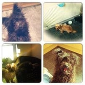 Clare Taylor's photo