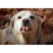 Janet Burke's photo