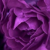 Myrtes Sims's photo
