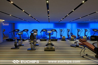 Euchips ' projects