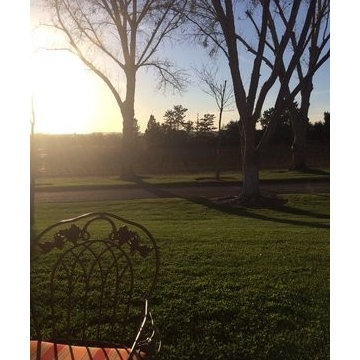 California Horse Ranches & Wineries