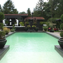 pool plants