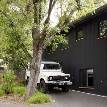 San Carlos Treetop