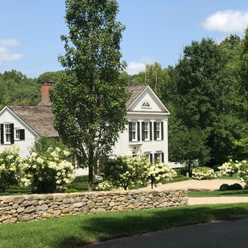Extension of stone wall, Hornbeam trees & PeeGee Hydrangea’s