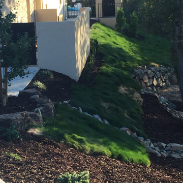 El Dorado Hills - Serrano Complete Landscape