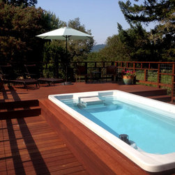 Endless Pools - 15' Endless Pool&reg; Swim Spa - Hot Tub And Pool Supplies