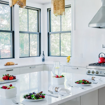 Newton Victorian with Modern Twist