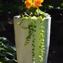 1485 Santa Cruz Landscaping
