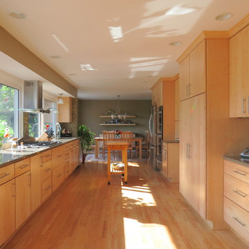 Bloomfield Hills Modern Kitchen