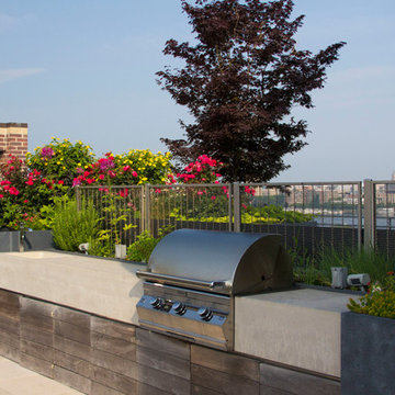 Boston Rooftop Garden