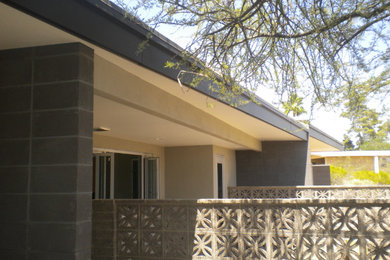 Trendy home design photo in Phoenix
