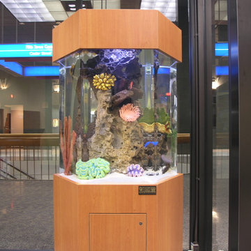 Free Standing Aquariums