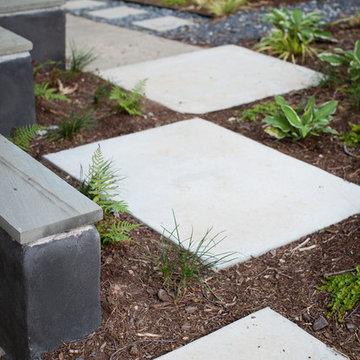 Modern and dog-friendly landscape